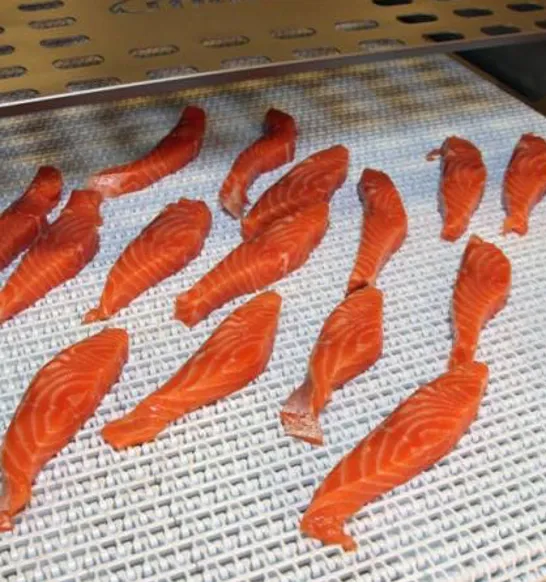 stripcutter_salmon_strips